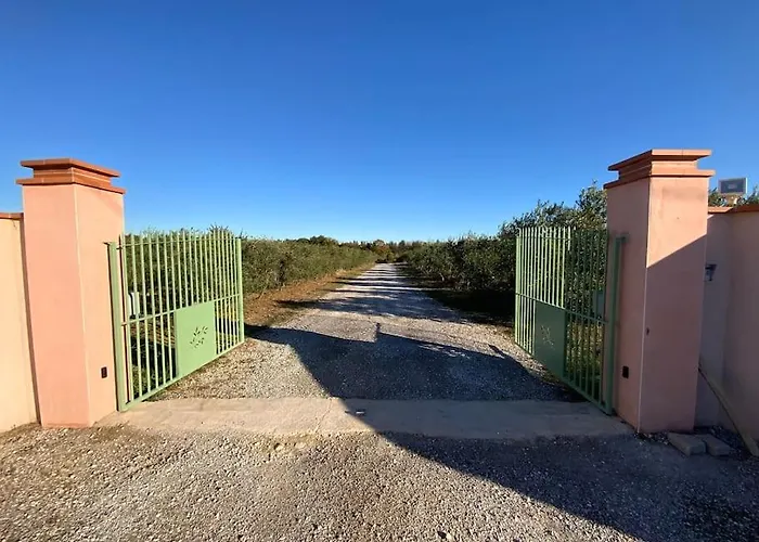 Perpignan Dans Oliveraie Tres Beau Gite 11 Pers