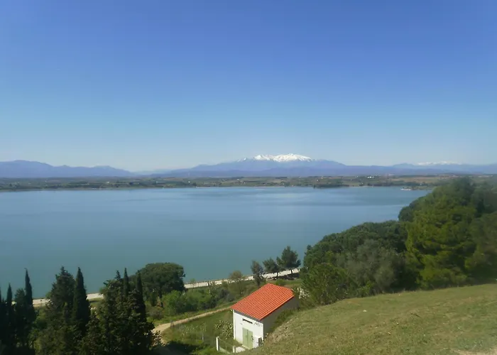 Perpignan Dans Oliveraie Tres Beau Gite 11 Pers